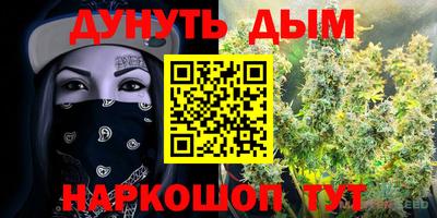 скорость Будённовск