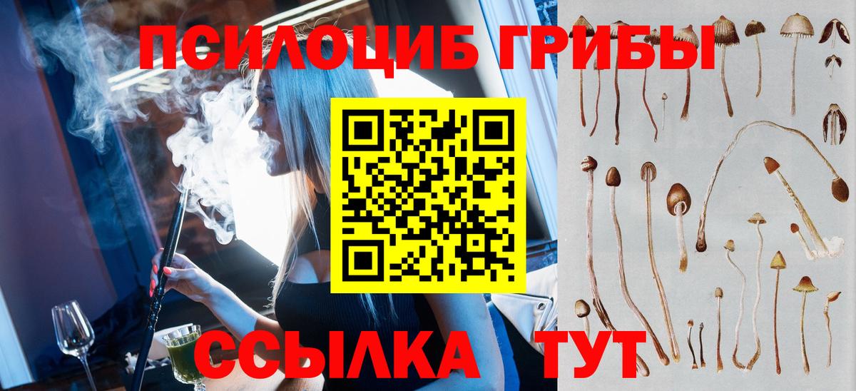Сатка  Галлюциногенные грибы Cubensis  Вход с VPN 