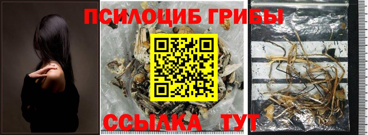Галлюциногенные грибы мухоморы Сатка